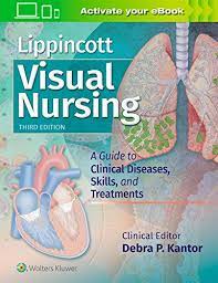 Lippincott visual nursing : a guide To diseases, skills, and treatments